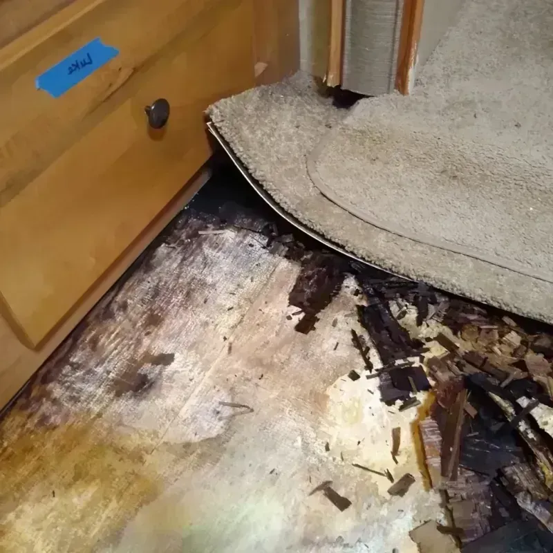 Wood Floor Water Damage in Bel-Nor, MO